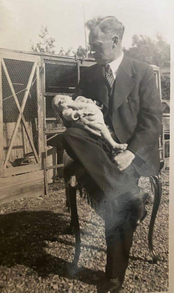 Afbeelding van Pieter Koning